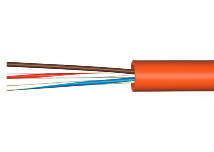 Cat6